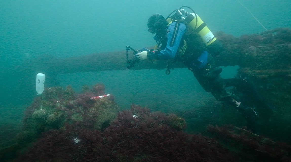 Underwater Recording